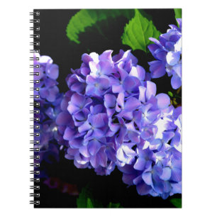 Caderno Espiral Flor azul roxa-brava-brava
