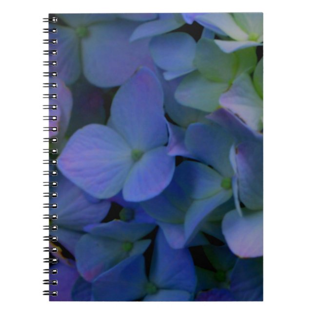 Caderno Espiral Flor azul-violeta azul-hidrangeas-violeta floral (Frente)