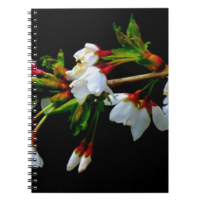 Caderno Espiral Flor branco branco esbranquiçado florescente (Frente)