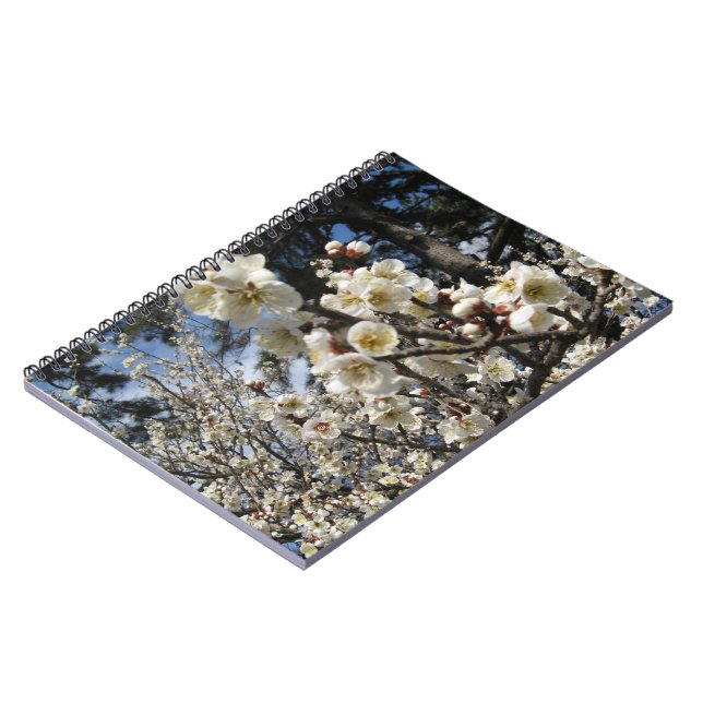 Caderno Espiral Flor branco de cereja / Sakura / ク サ(桜) (Left Side)