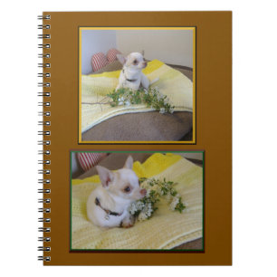 Caderno Espiral Flor Chihuahua