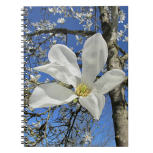 Caderno Espiral Flor da Magnolia Branca em Árvore. 