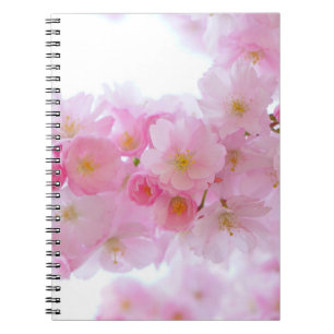 Caderno Espiral Flor de árvore de cereja japonesa