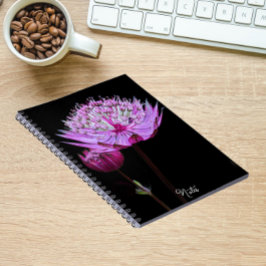 Caderno Espiral Flor de Astrantia Rosa no Floral Preto