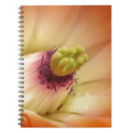 Caderno Espiral Flor de Cactus Laranja