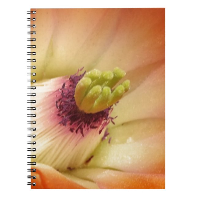 Caderno Espiral Flor de Cactus Laranja (Frente)