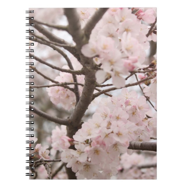 Caderno Espiral Flor de cerejeira (Frente)