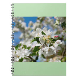 Caderno Espiral Flor de cerejeira.