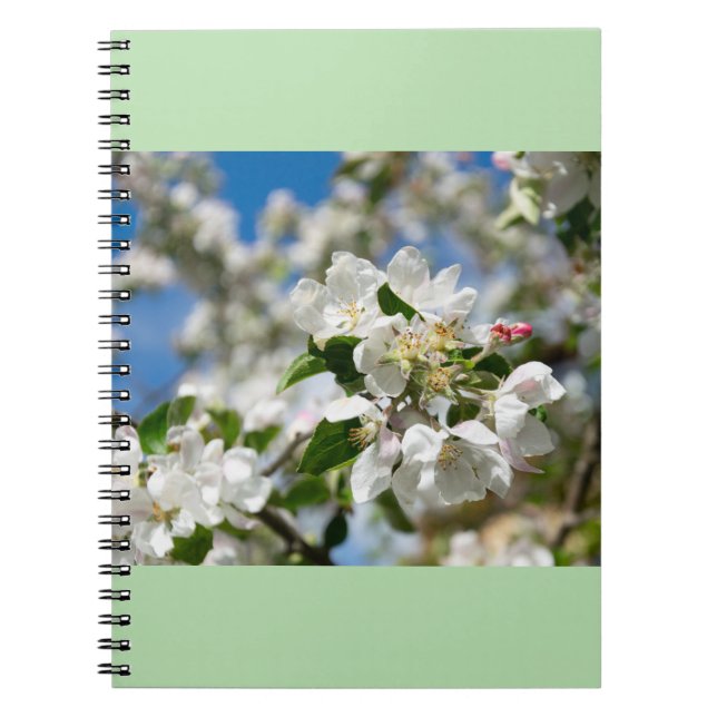 Caderno Espiral Flor de cerejeira. (Frente)