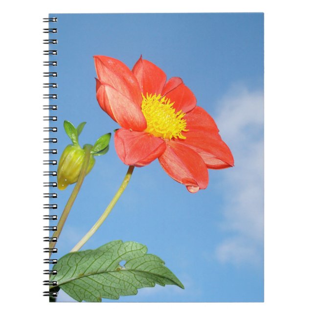 Caderno Espiral Flor de cerejeira vermelha morango (Frente)