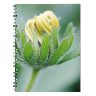 Caderno Espiral Flor de Cone Aberta