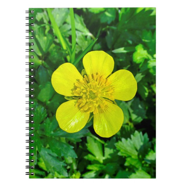 Caderno Espiral Flor De Copo-Botão. (Frente)