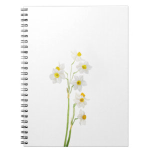 Caderno Espiral flor de cor branca narciso