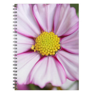 Caderno Espiral Flor de Cosmos (bidens formosa)