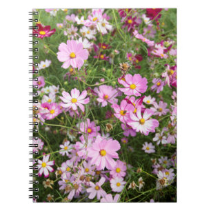 Caderno Espiral Flor de Cosmos (Bidens Formosa). Kirkwood