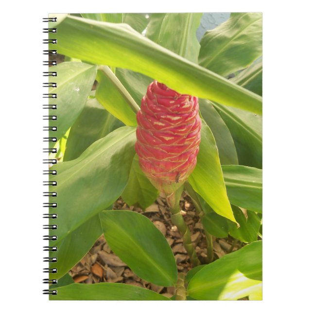 Caderno Espiral Flor de gengibre Shampoo (Frente)
