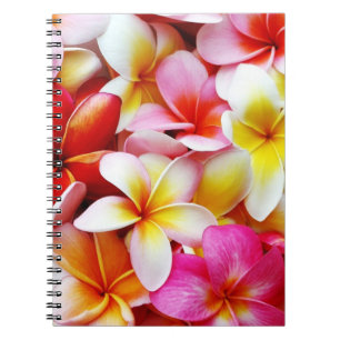 Caderno Espiral Flor de Havaí do Frangipani do Plumeria
