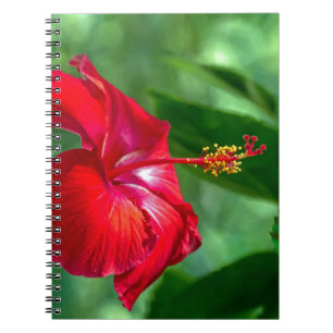 Caderno Espiral Flor de Hibiscus