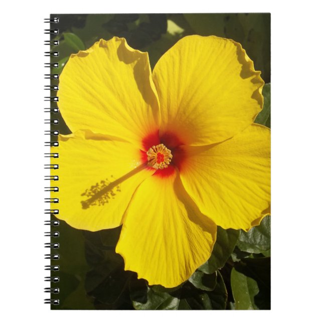 Caderno Espiral Flor de Hibiscus Amarelo (Frente)