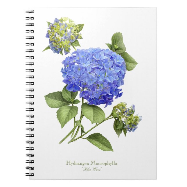 Caderno Espiral Flor de Hydrangea Azul (Frente)
