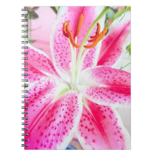 Caderno Espiral Flor de Lily Stargazer