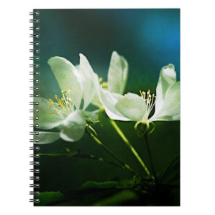 Caderno Espiral Flor de Maçã - Duas Flores