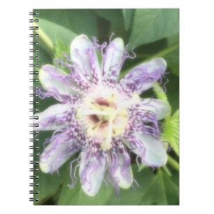 Caderno Espiral Flor de Maracujá