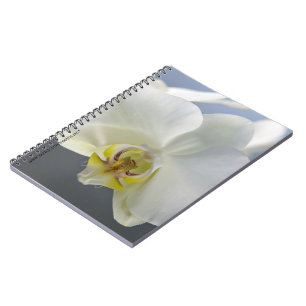 Caderno Espiral Flor de Orquídea Branca