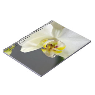 Caderno Espiral Flor de Orquídea Branca