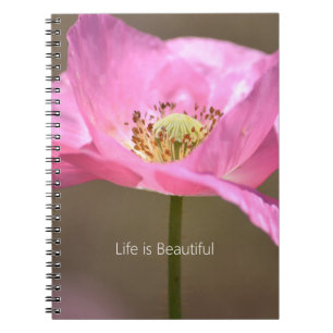 Caderno Espiral Flor de Papoula da Islândia Rosa Corada (minha fot
