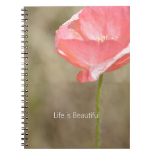 Caderno Espiral Flor de Papoula da Islândia Rosa Corado (minha fot