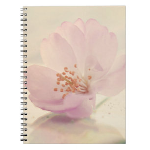 Caderno Espiral Flor Delicado de Flor de Flor de Cereja Rosa
