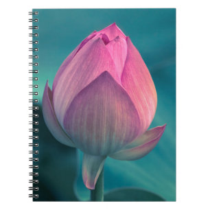 Caderno Espiral Flor do lírio de água de Lotus