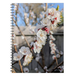 Caderno Espiral Flor floresce
