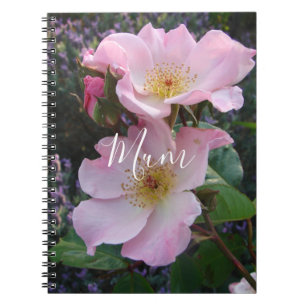 Caderno Espiral Flor Foto da Flor de Rosa Selvagem Rosa no Dia das