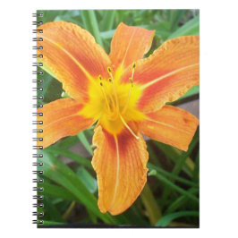 Caderno Espiral Flor Laranja