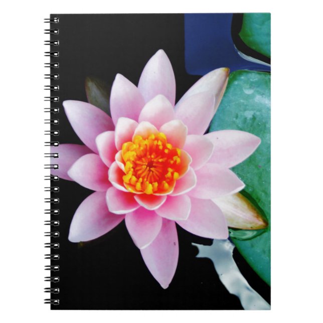 Caderno Espiral Flor lírio de água, rosa quente e lótus laranja (Frente)