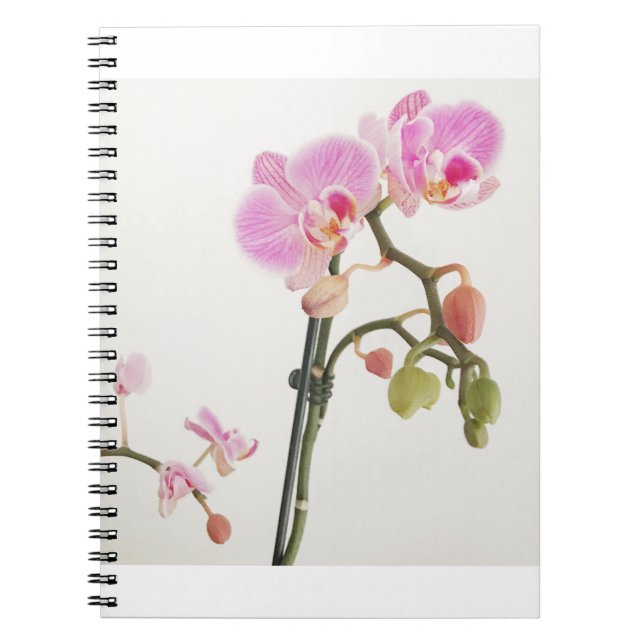 Caderno Espiral Flor Orquídea (Frente)