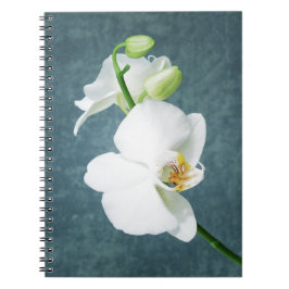 Caderno Espiral Flor Orquídea Branca Zen