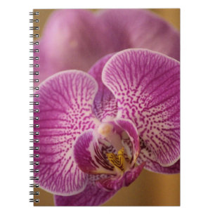 Caderno Espiral Flor Orquídea Rosa