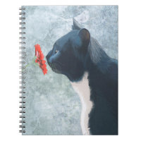 Flor Preta de Cheiro de Gato