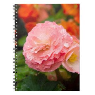 Caderno Espiral Flor rosa delicada após a chuva
