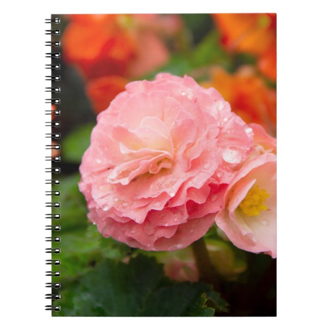 Caderno Espiral Flor rosa delicada após a chuva (Frente)
