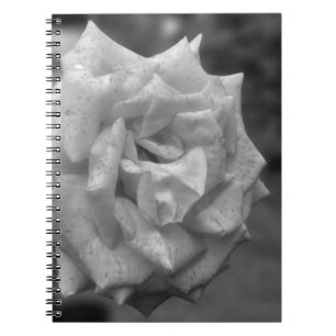 Caderno Espiral Flor Rosa movido em BW