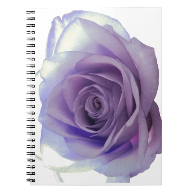Caderno Espiral Flor Rosa púrpura (Frente)