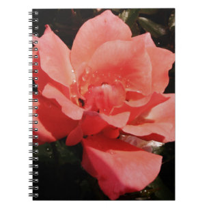 Caderno Espiral Flor Rosa Rosa Rosa Pêssego bonito