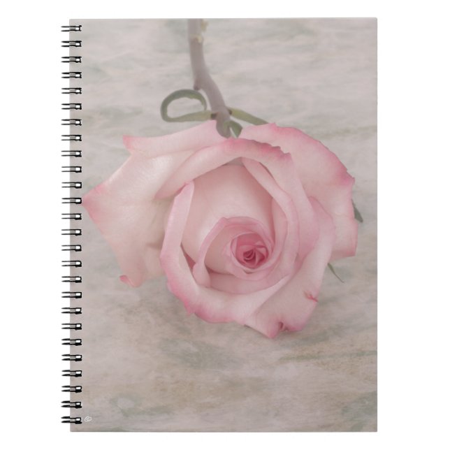 Caderno Espiral Flor Rosa Rosa Rosa Suave (Frente)