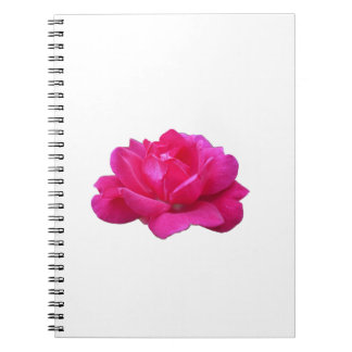Caderno Espiral flor rosa-rosa-solteiro adorável
