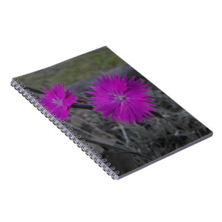 Caderno Espiral flor roxa
