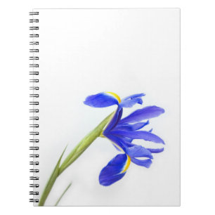 Caderno Espiral Flor roxa da íris